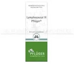 LYMPHOCAUSAL H Pfl&uuml;ger Mischung 50 ml