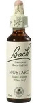 BACHBL&Uuml;TEN Mustard Tropfen 20 ml