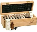 BACHBL&Uuml;TEN 20 ml Set Tropfen 800 ml