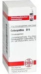 COLOCYNTHIS D 6 Globuli 10 g