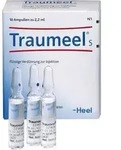 TRAUMEEL S Ampullen 10 St