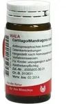 CARTILAGO/Mandragora comp.Globuli 20 g