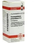 HARPAGOPHYTUM PROCUMBENS D 6 Globuli 10 g