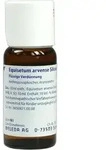 EQUISETUM ARVENSE Silicea cultum D 2 Dilution 50 ml