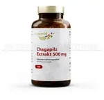 CHAGA PILZ Extrakt 500 mg Kapseln 100 St
