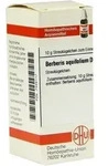 BERBERIS AQUIFOLIUM D 12 Globuli 10 g