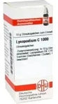 LYCOPODIUM C 1000 Globuli 10 g