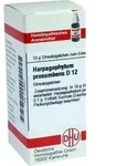 HARPAGOPHYTUM PROCUMBENS D 12 Globuli 10 g