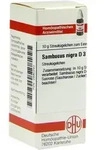 SAMBUCUS NIGRA D 3 Globuli 10 g