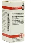 SOLIDAGO VIRGAUREA D 3 Globuli 10 g