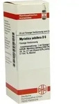 MYRISTICA SEBIFERA D 6 Dilution 20 ml
