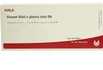 VISCUM MALI e planta tota D 6 Ampullen 10 ml