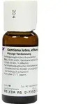 GENTIANA LUTEA D 1 Dilution 50 ml