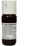 GEUM URBANUM D 1 Dilution 50 ml