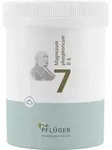BIOCHEMIE Pfl&uuml;ger 7 Magnesium phosphoricum D 6 Plv 250 g