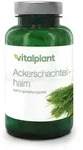 ACKERSCHACHTELHALM 500 mg Extrakt Vitalplant Kaps. 90 St