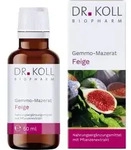 GEMMO-MAZERAT Feige Dr.Koll Ficus carica Tropfen 50 ml