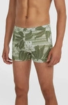 O'Neill Essentials Floral Racer Boardshorts green tonal dusty flower XL Herren