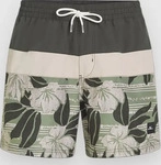 O'Neill Cali Block 15'' Boardshorts green dusty flower S Herren