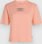 O'Neill Summer Musthaves Back Print T-Shirt coral pop S Damen