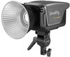 SMALLRIG 3961 RC 350D COB LED Videoleuchte (europäischer Standard)