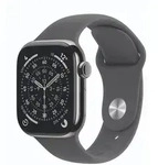 Apple Watch Series 11 Cellular 42mm Natur Titan Geh&auml;use mit Steingrau Sport Band -