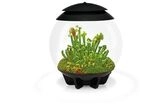 BiOrb Terrarium AIR 30 schwarz
