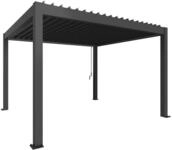 Biohort Pergola B 404,5 x T 367,5 x H 255 cm (Gr. 4x3,5) Rahmen: dunkelgrau-metallic
