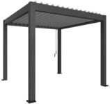 Biohort Pergola B 312 x T 312 x H 255 cm (Gr. 3x3) Rahmen: dunkelgrau-metallic /