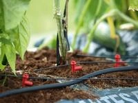 Vitavia Erweiterungs-Set zu Hydromat