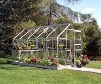 Halls Gew&auml;chshaus Popular - 6.2 m&sup2; Alu mit 3 mm Blankglas