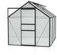 Vitavia Gew&auml;chshaus Calypso 4400 inkl. 1 Dachfenster - 4,4 m&sup2; -schwarz-6 mm