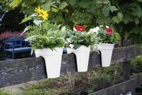 KHW Flowerclip, 3er Set, wei&szlig;-Kartonverpackung
