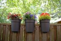 KHW Flowerclip, 3er Set, anthrazit-Kartonverpackung