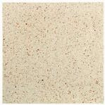 Diephaus Terrassenplatte OPTIMA 40 x 40 x 4 cm Karamell-Beige