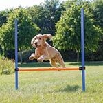 TRIXIE Fun Agility H&uuml;rde, Kunststoff, 113 &times; 110 cm, &oslash; 3 cm, blau/orange