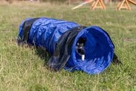 TRIXIE Fun Agility Mini Tunnel, &oslash; 40 cm/2 m, blau