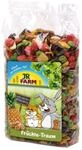 JR FARM Fr&uuml;chte-Traum 200g Kleintiersnack