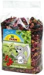 JR FARM Chinchilla-Spezial 500g Nahrungserg&auml;nzung f&uuml;r Kleintiere