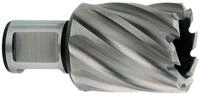 Metabo HSS-Kernbohrer 18x30 mmWeldonschaft 19 mm