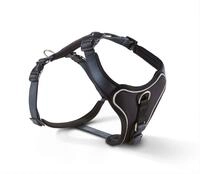 Wolters Professional Geschirr