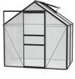 Vitavia Gew&auml;chshaus Venus 2500 inkl. 1 Dachfenster - 2,5 m&sup2;-schwarz-6 mm