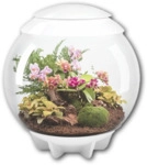 BiOrb AIR 60 weiss