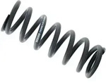 RockShox Feder 151 mm 300 lb schwarz
