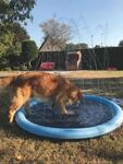 NOBBY Splash Pool &Oslash; 150 cm