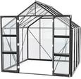Vitavia Gew&auml;chshaus Domus 6700 inkl. 2 Dachfenstern - 6,7 m&sup2; 3 mm