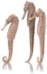 biOrb Seepferdchen 3er-Set natur (55063)