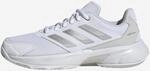 Damen Tennisschuhe Sandplatz - Courtjam Control 3 wei&szlig;/grau