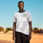 Damen/Herren Fu&szlig;balltrikot Senegal Heim 2026