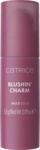 Catrice Blushin' Charm Multi Stick 030 Ruby Darling 4059729514974